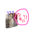 ツナときどき空2（個別スタンプ：3）