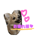 ツナときどき空2（個別スタンプ：4）