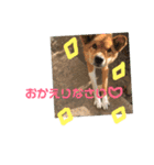 ツナときどき空2（個別スタンプ：5）