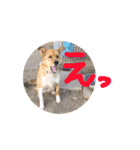 ツナときどき空2（個別スタンプ：6）