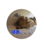 ツナときどき空2（個別スタンプ：10）