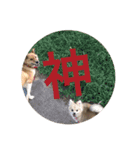 ツナときどき空2（個別スタンプ：12）