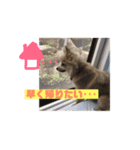 ツナときどき空2（個別スタンプ：13）