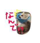 ツナときどき空2（個別スタンプ：14）