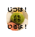 ミドリ豆ちゃん（個別スタンプ：8）