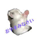ハルくんといっしょ（個別スタンプ：10）
