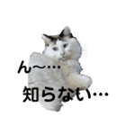 ハルくんといっしょ（個別スタンプ：12）