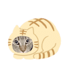 サダハルとヤバイ仲間たち（個別スタンプ：6）