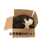 セナスタンプ♡（個別スタンプ：1）