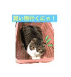 セナスタンプ♡（個別スタンプ：2）