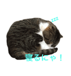 セナスタンプ♡（個別スタンプ：5）