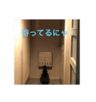 セナスタンプ♡（個別スタンプ：12）