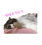 セナスタンプ♡（個別スタンプ：14）