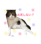 セナスタンプ♡（個別スタンプ：15）