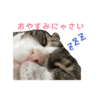 セナスタンプ♡（個別スタンプ：23）