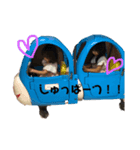 YuriaAnikaDog（個別スタンプ：4）