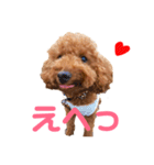 kikiのほぼ変顔笑顔すたんぷ（個別スタンプ：1）