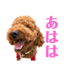 kikiのほぼ変顔笑顔すたんぷ（個別スタンプ：3）