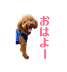 kikiのほぼ変顔笑顔すたんぷ（個別スタンプ：6）
