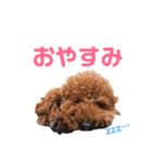 kikiのほぼ変顔笑顔すたんぷ（個別スタンプ：8）