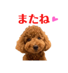 kikiのほぼ変顔笑顔すたんぷ（個別スタンプ：10）