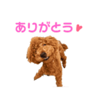 kikiのほぼ変顔笑顔すたんぷ（個別スタンプ：11）