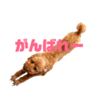 kikiのほぼ変顔笑顔すたんぷ（個別スタンプ：13）