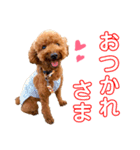 kikiのほぼ変顔笑顔すたんぷ（個別スタンプ：14）