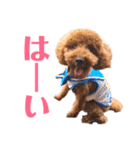 kikiのほぼ変顔笑顔すたんぷ（個別スタンプ：16）