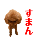 kikiのほぼ変顔笑顔すたんぷ（個別スタンプ：27）
