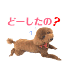 kikiのほぼ変顔笑顔すたんぷ（個別スタンプ：30）