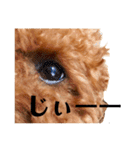 kikiのほぼ変顔笑顔すたんぷ（個別スタンプ：31）