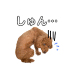 kikiのほぼ変顔笑顔すたんぷ（個別スタンプ：37）