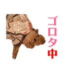 kikiのほぼ変顔笑顔すたんぷ（個別スタンプ：40）