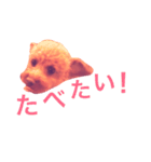 トイプードル あんず＊（個別スタンプ：7）