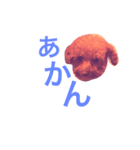 トイプードル あんず＊（個別スタンプ：15）