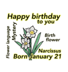 1月、誕生日ごとの誕生花、花言葉。（個別スタンプ：21）