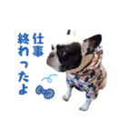 フレブルジョン君 実写版（個別スタンプ：2）