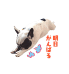 フレブルジョン君 実写版（個別スタンプ：3）