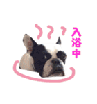 フレブルジョン君 実写版（個別スタンプ：4）