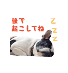 フレブルジョン君 実写版（個別スタンプ：7）
