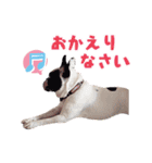 フレブルジョン君 実写版（個別スタンプ：17）
