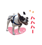フレブルジョン君 実写版（個別スタンプ：23）
