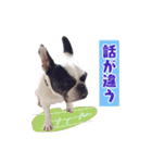 フレブルジョン君 実写版（個別スタンプ：25）