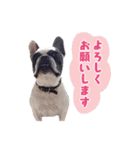 フレブルジョン君 実写版（個別スタンプ：26）