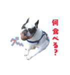 フレブルジョン君 実写版（個別スタンプ：30）