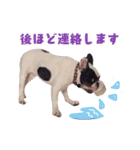 フレブルジョン君 実写版（個別スタンプ：35）