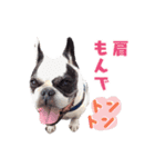 フレブルジョン君 実写版（個別スタンプ：38）