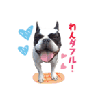 フレブルジョン君 実写版（個別スタンプ：39）