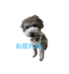 Lion′s life☆（個別スタンプ：2）